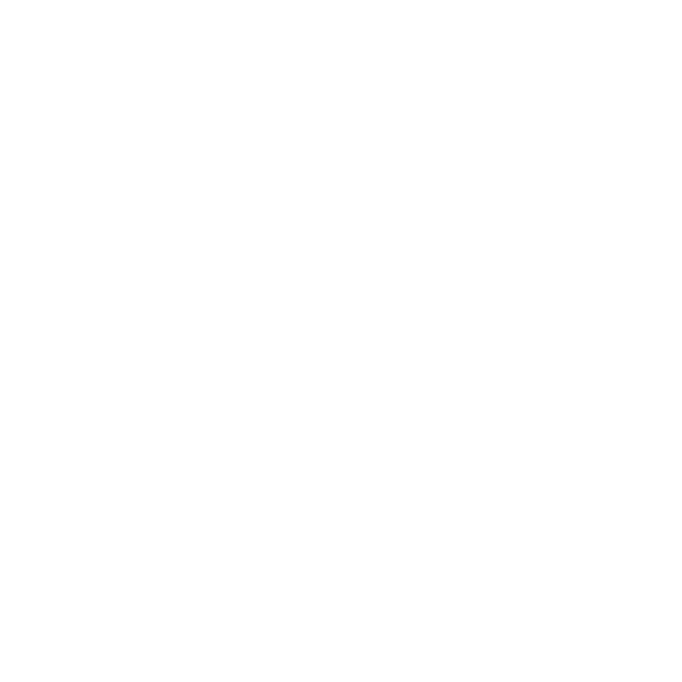 ISO Certification icon